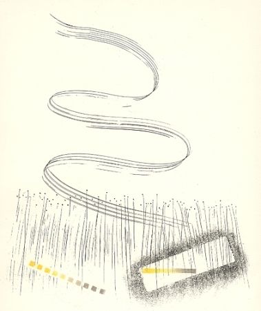 Illustrated Book Melotti - Linee
