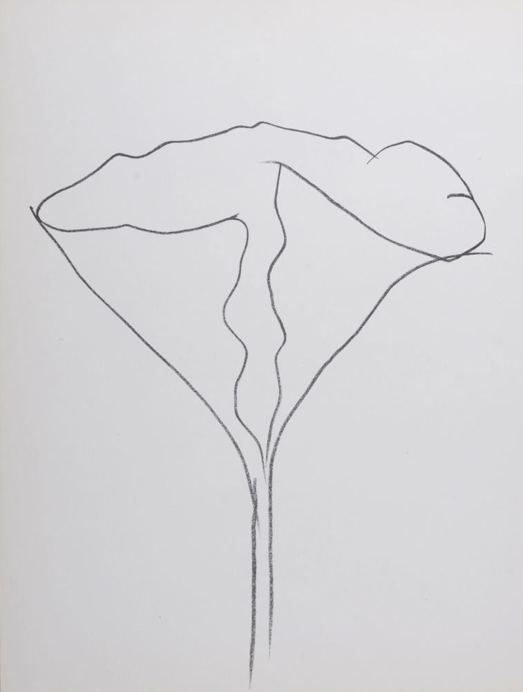 Lithograph Kelly - Lotus, 1982