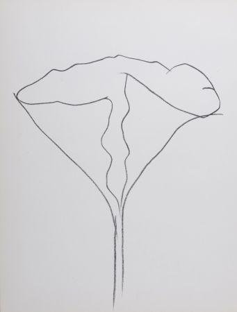 Lithograph Kelly - Lotus, 1982