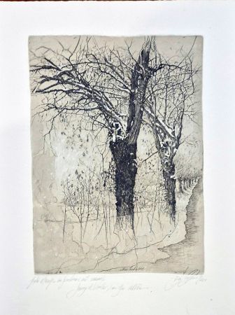 Engraving Ceschin - Lungo il viale, fra gli alberi