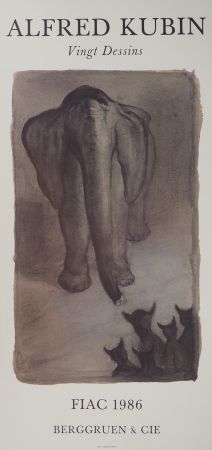 Illustrated Book Kubin - L'éléphant