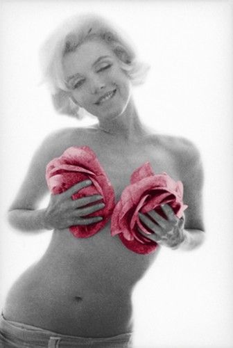 Photography Stern - Marilyn Pink Roses Large