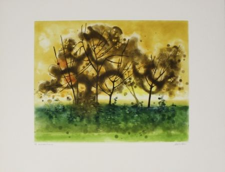 Etching And Aquatint Walker - Meadowland