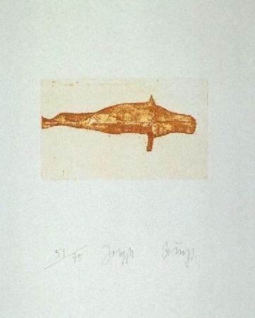 Etching And Aquatint Beuys - Meerengel Robbe I