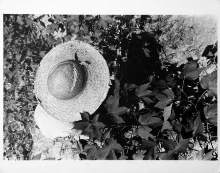 Photography Evans - Mississippi