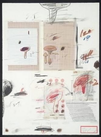 Lithograph Twombly - Natural History Part I: Mushrooms IV