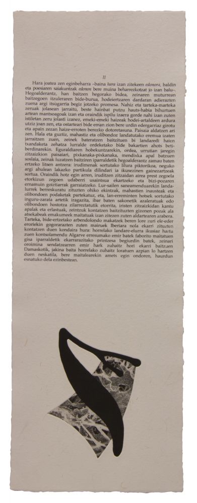 Illustrated Book Baroja-Collet - Neguko kronika hegoaldeko ordeketan