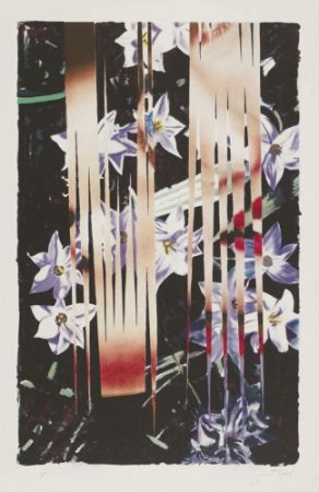 Lithograph Rosenquist - Night Transitions