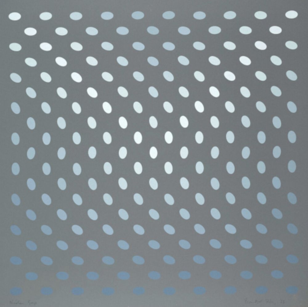 Screenprint Riley - Nineteen Greys A