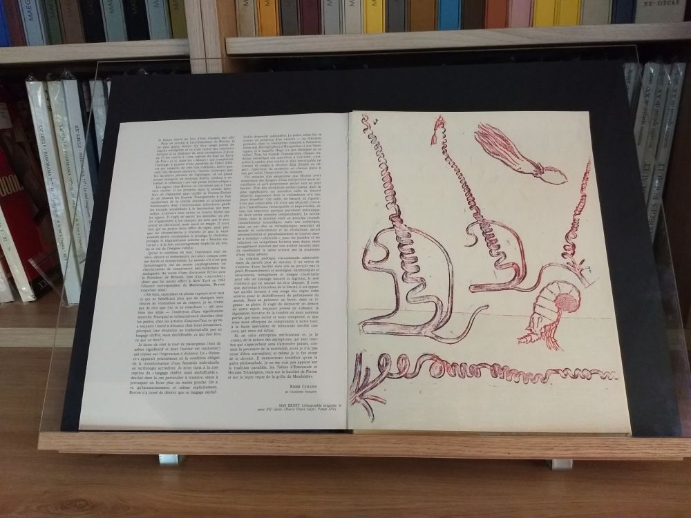 Illustrated Book Ernst - No 24