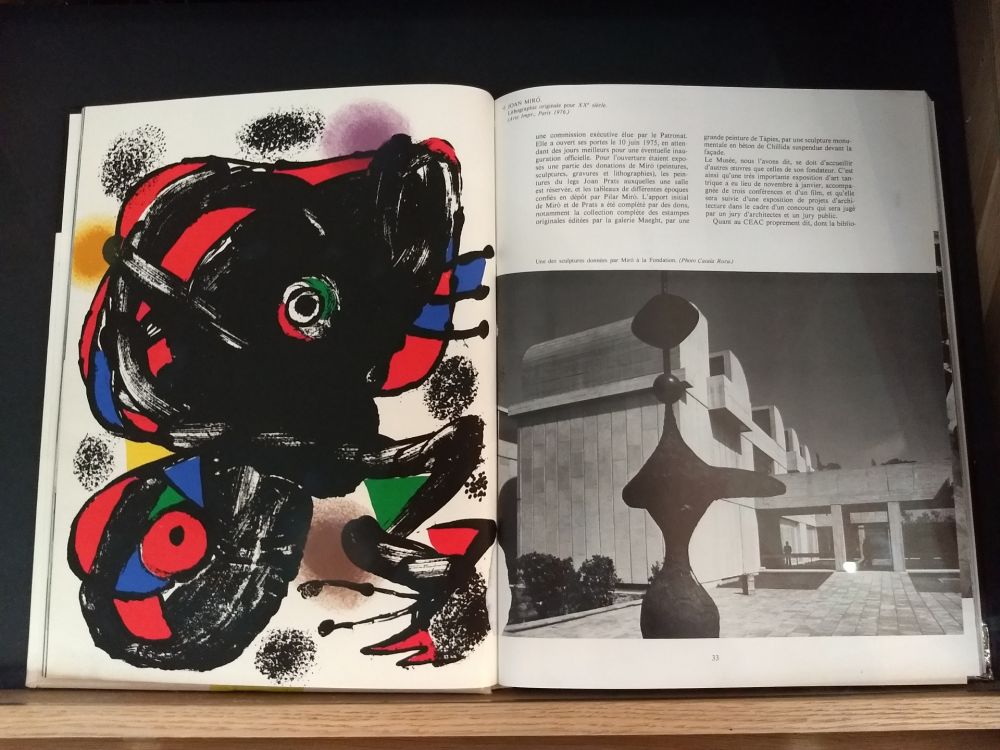 Illustrated Book Miró - No 46