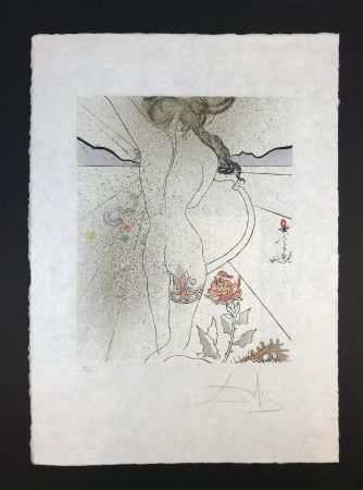 Multiple Dali - Nu à la jarretiére ( Nude with Garter )