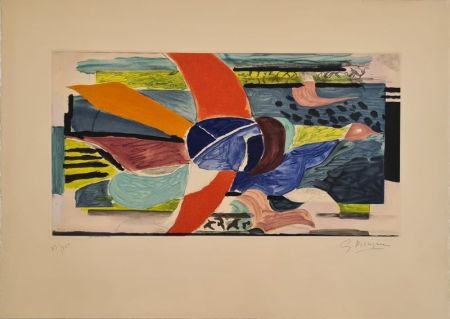 Etching And Aquatint Braque - Oiseau multicolore 