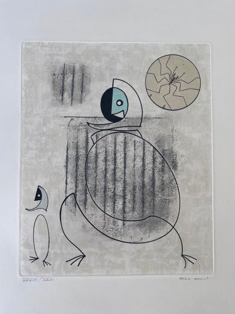 Etching And Aquatint Ernst - Oiseaux en péril 