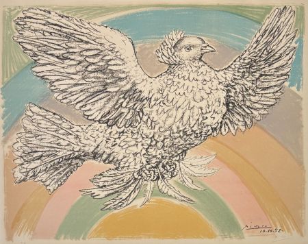 Lithograph Picasso - Pablo Picasso(1881–1973) - Colombe volant - Coloured lithograph on Arches paper - 1952