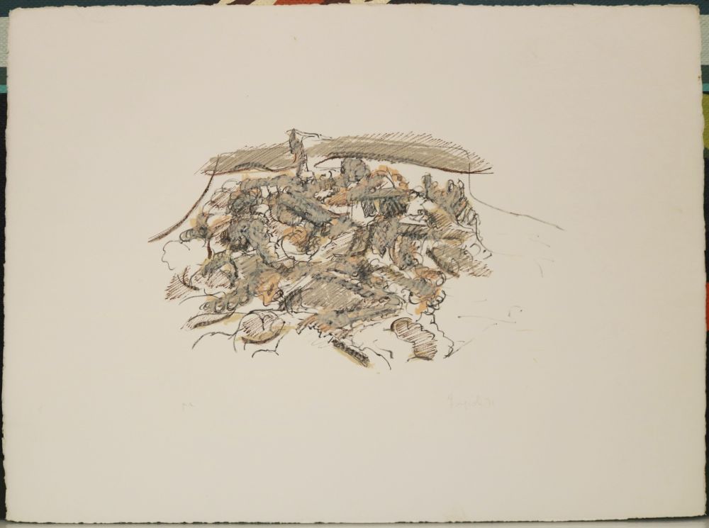 Lithograph Forgioli - Paesaggio