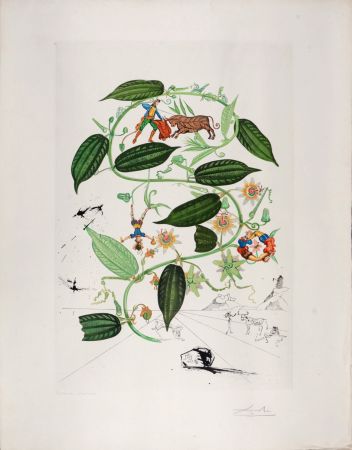 Etching Dali - Passiflora Lariguera, 1969 - Hand-signed!