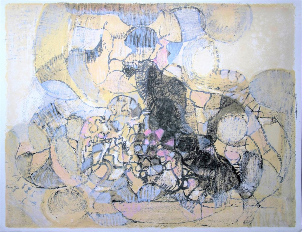 Lithograph Bolin - Paysage à la lumière grise et rose