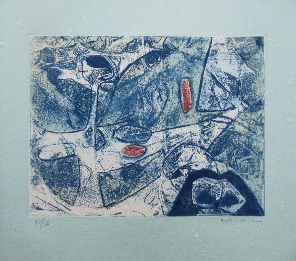 Etching And Aquatint Tanning - Peau