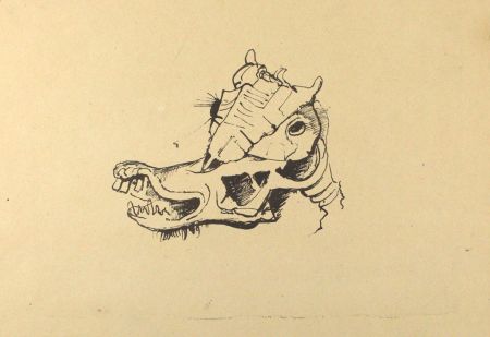 Lithograph Hofer - Pferdeschädel / Horse Skull
