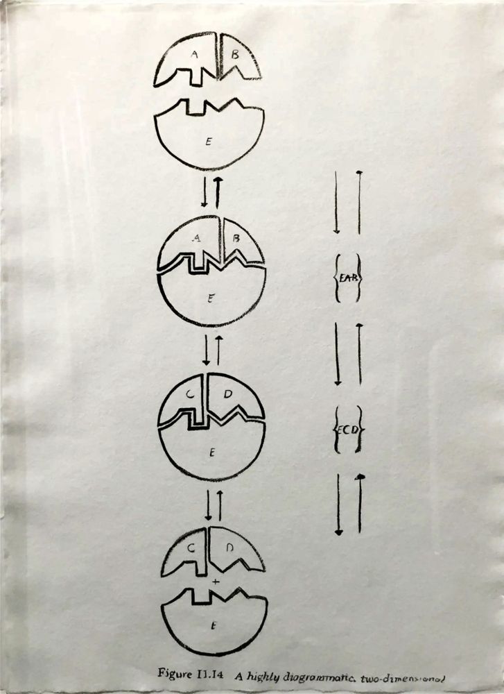 Multiple Warhol - Physiological Diagram