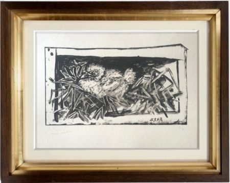 Lithograph Picasso - Pigeonneau dans son nid
