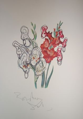 Lithograph Dali - Pirates Gladioli (surrealistic flowers)