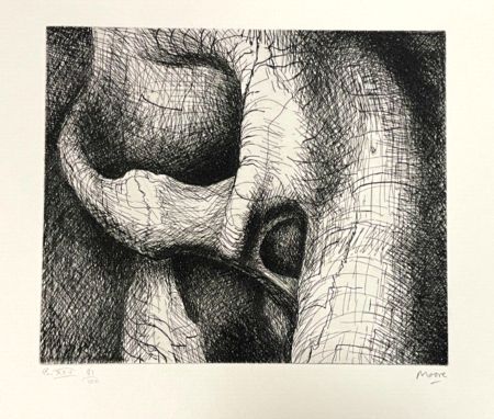 Etching Moore - Plate XXVI from Elephant Skull