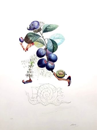 Lithograph Dali - Plum