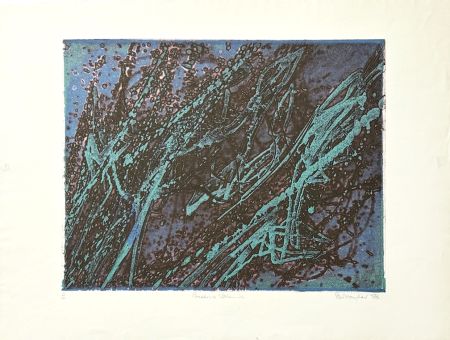 Etching Hayter - Poissons volants