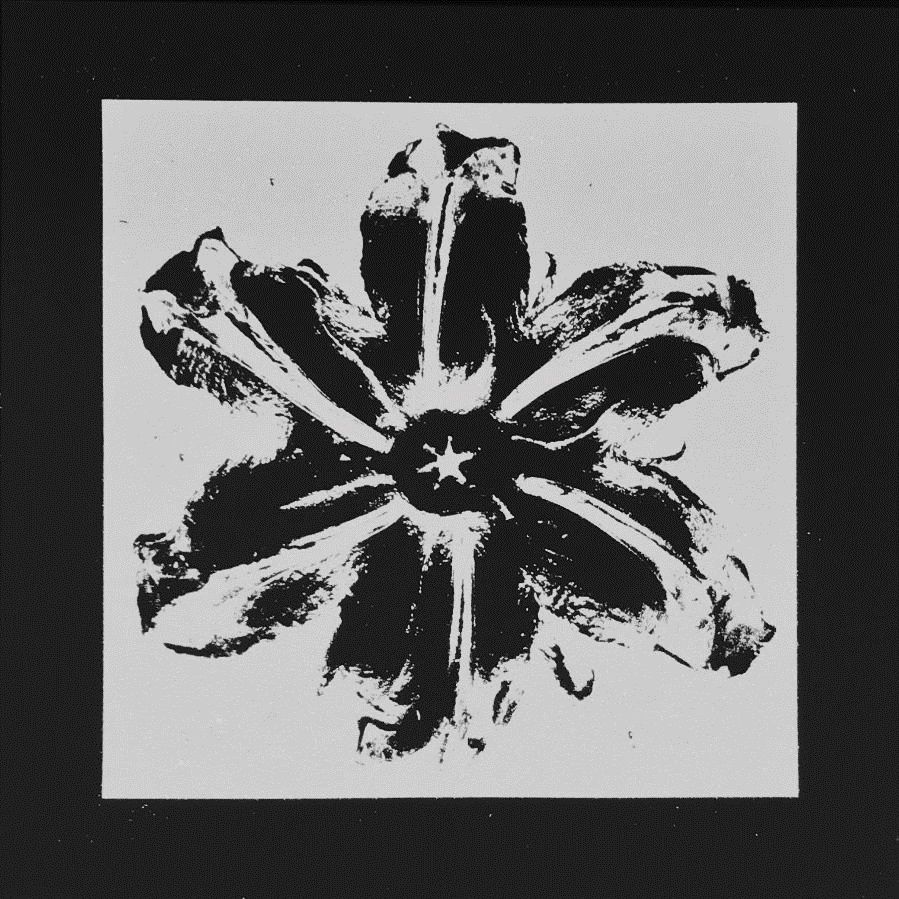 Screenprint Robierb - Power Flower (Black)