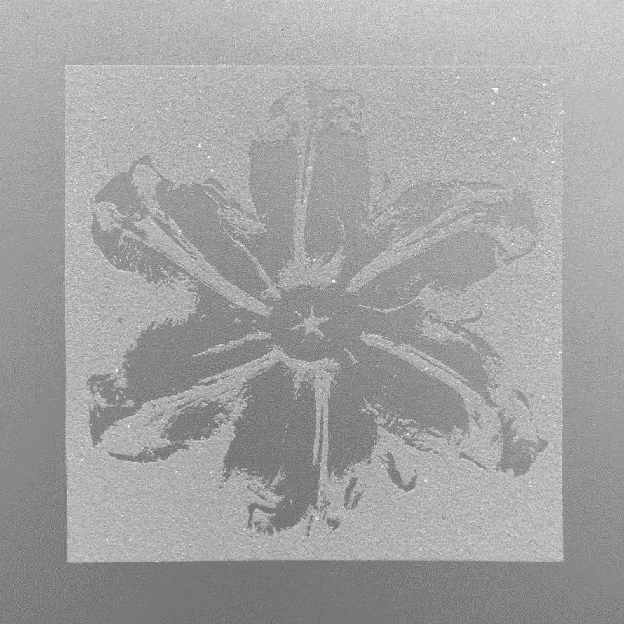 Screenprint Robierb - Power Flower (Silver)