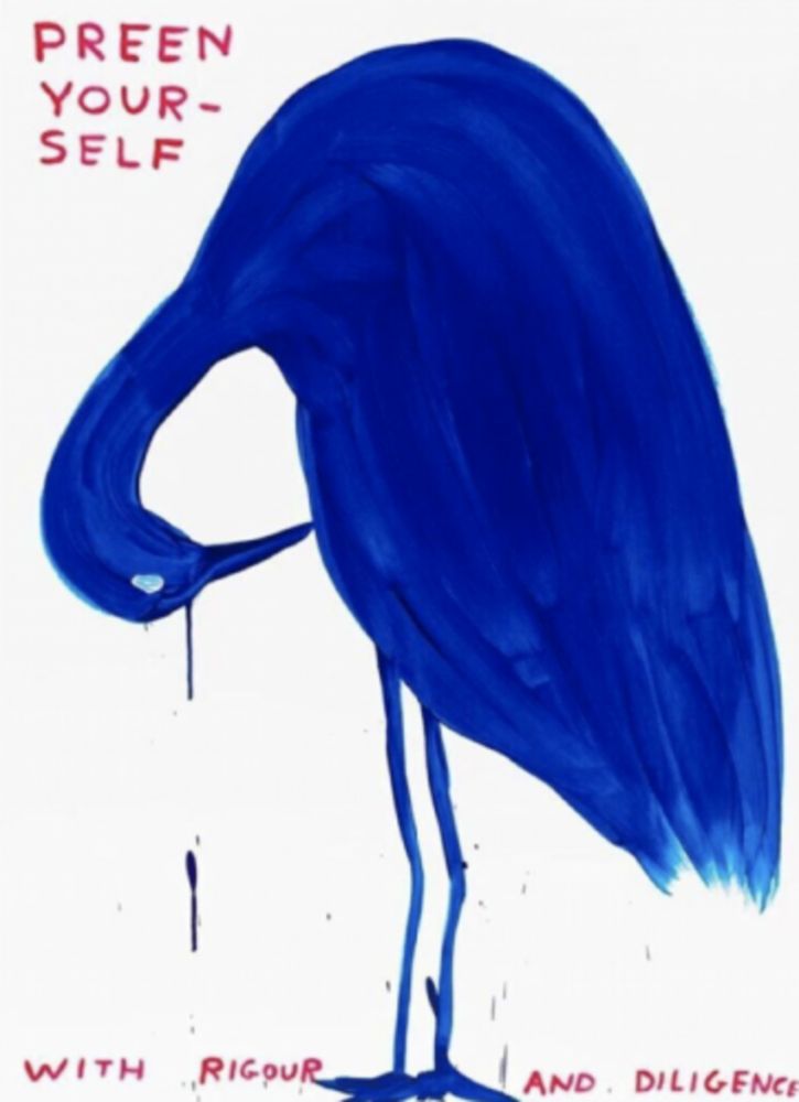 Screenprint Shrigley - Preen Yourself