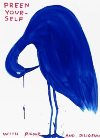 Screenprint Shrigley - Preen Yourself