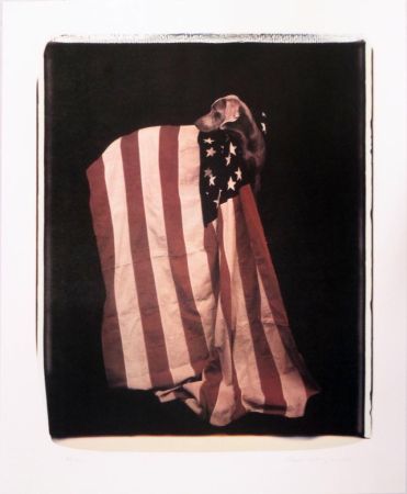 Lithograph Wegman - Profiles in Patriotism (from Freedom of Expression)