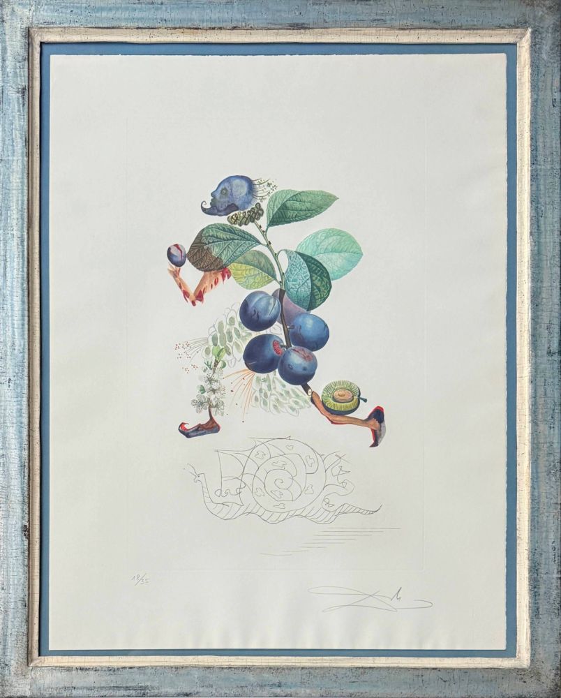 Lithograph Dali - Prunier hâtif (Hurrying Plum-tree)