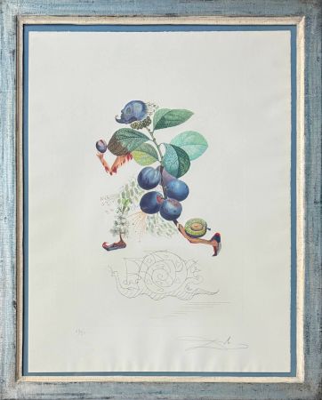 Lithograph Dali - Prunier hâtif (Hurrying Plum-tree)