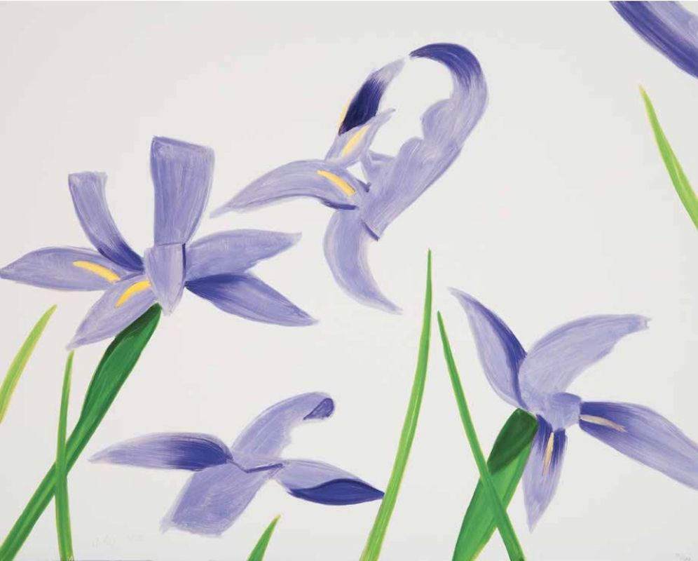 No Technical Katz - Purple Irises on White