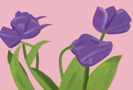 No Technical Katz - Purple Tulips 1