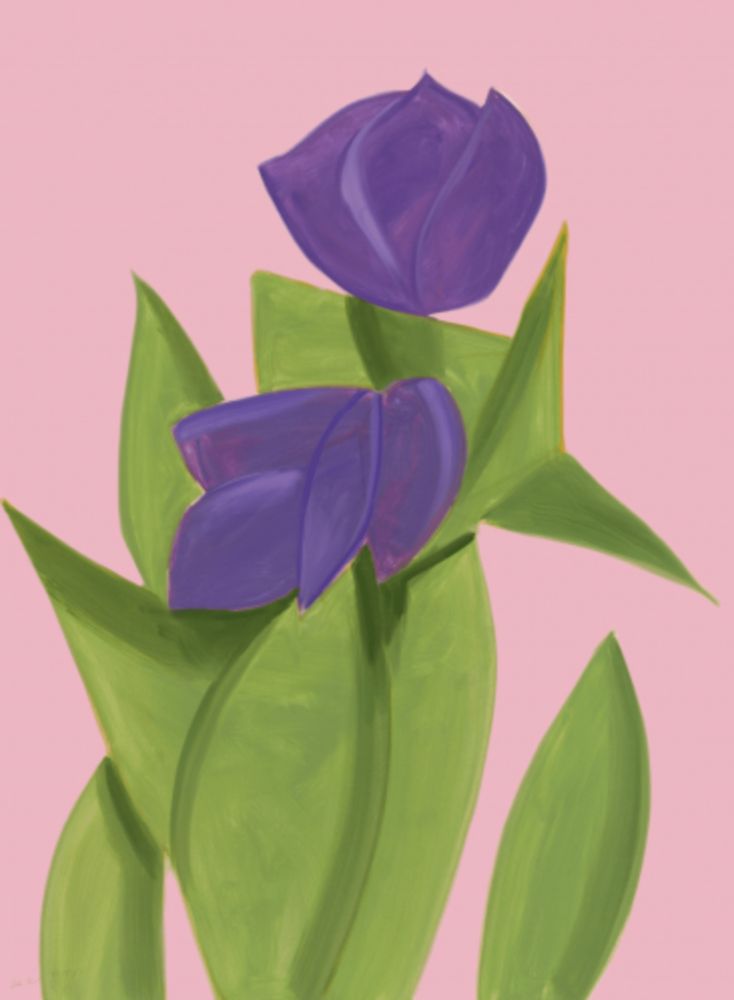 Multiple Katz - Purple Tulips 2