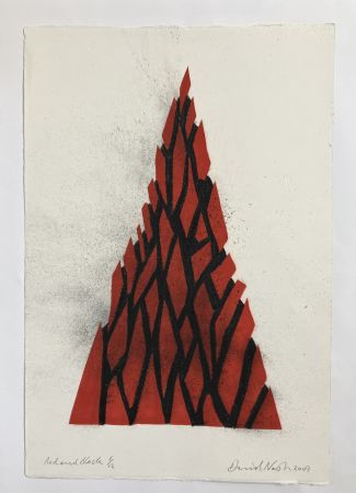 No Technical Nash - Red and black triangle, 2009