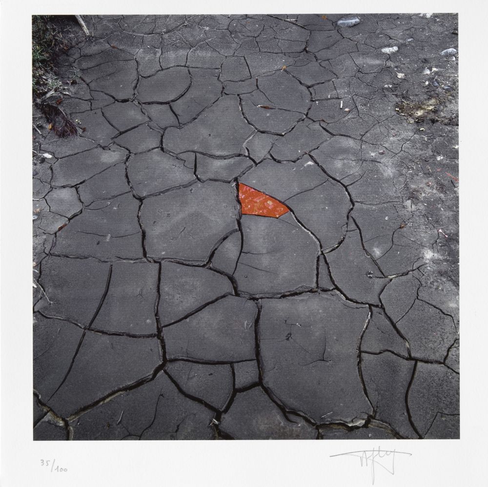 Numeric Print Goldsworthy - Red Leaves on Cracked earth