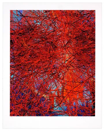 Numeric Print Myrvold - Red Wires in Sunset
