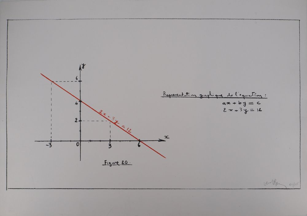 Screenprint Venet - Représentation de l'équation