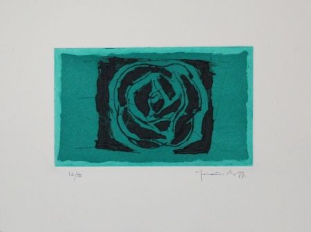 Etching And Aquatint Hernandez Pijuan - Rosa verda / Green Rose