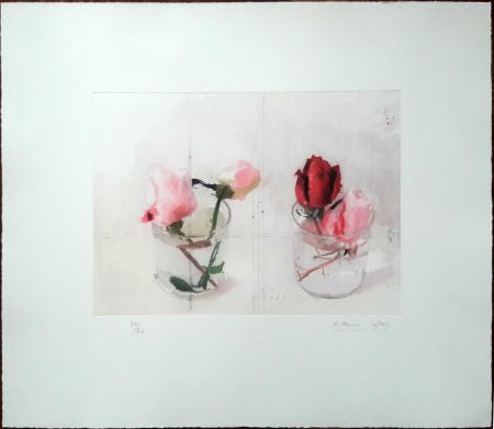 Engraving López Garcia - Rosas de invierno II