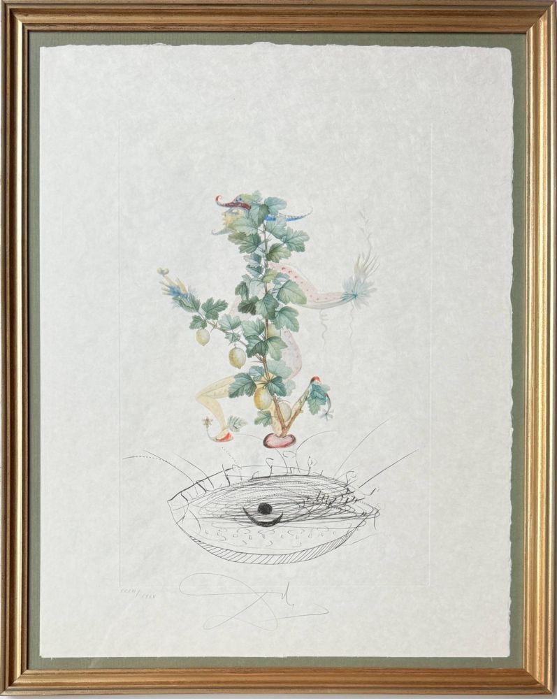 Lithograph Dali - Révérence du groseillier (Curtsying Gooseberry Bush)