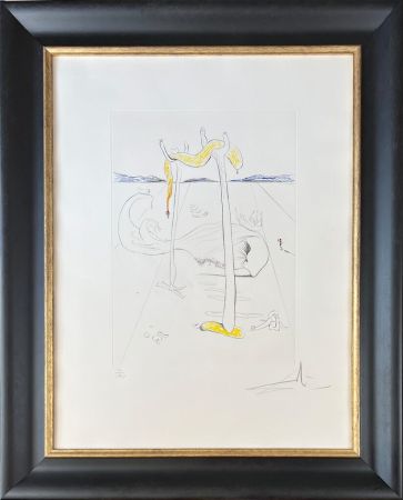 Drypoint Dali - Salvador Dalí (1904-1989) - Color drypoint etching on Arches paper - 1973
