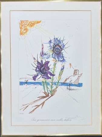 Drypoint Dali - Salvador Dalí (1904–1989) - Coloured drypoint etching on heliogravures - 1972