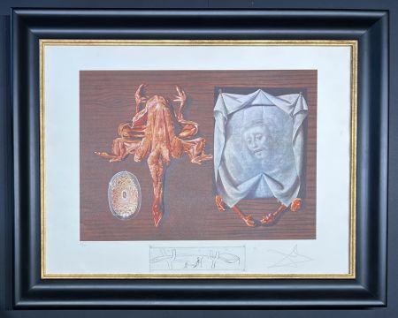 Lithograph Dali - Salvador Dalí (1904–1989) - Coloured lithograph on BFK Rives paper - 1971